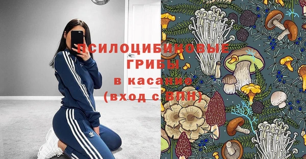 мескалин Надым
