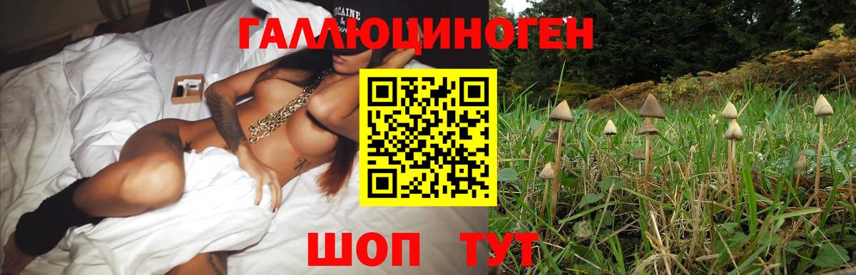 Галлюциногенные грибы Magic Shrooms  Вход с VPN  Майский 